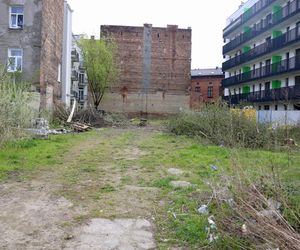 Deweloper nielegalnie wyciął dwa drzewa w Warszawie. Mieszkańcy oburzeni. „Będziemy reagować”