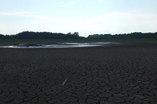 Wyschnięte jezioro w Skrzatuszu pod Piłą
