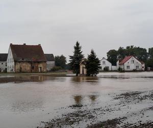 Nim przyszła fala powodziowa, sąsiedzi pomogli pani Gizeli 