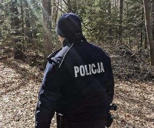 Psy uwiązane stalowymi linkami w lesie. Jeden nie przeżył