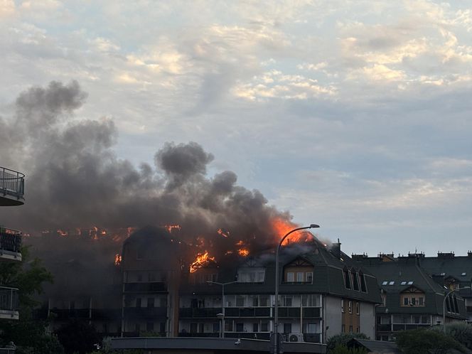 Pożar bloku mieszkalnego w Ząbkach 