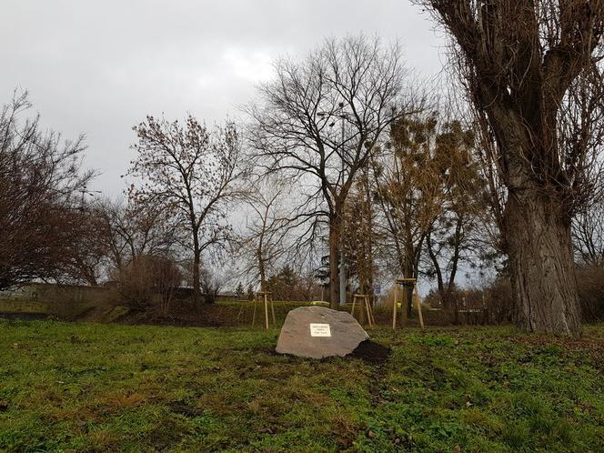 PGE Toruń wspiera zieleń i zagrożone gatunki zwierząt!