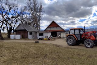 Psy zagryzły góralowi owce