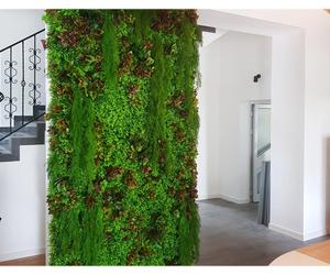 Zielona ściana w mieszkaniu