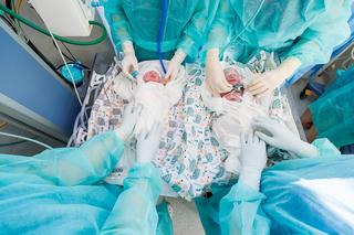 W Lublinie urodziły się czworaczki: Julia, Jakub, Alicja i Nikodem. W domu czeka na nich siostra [ZDJĘCIA]