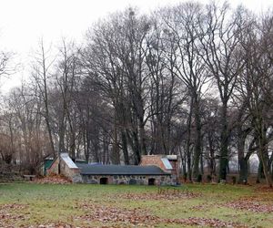 Dąbrówka Kujawska