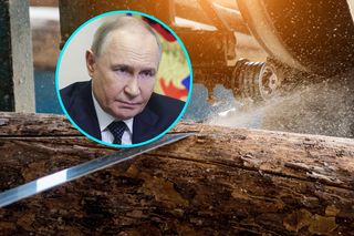 Brzozy od Putina, ogórki z Kremla. Rosyjskie towary wciąż płyną do Europy