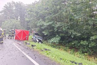 Śmiertelny wypadek na DK 69 pod Kępnem. Nie żyje dwóch kierowców 