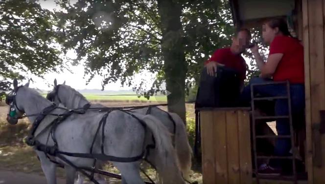 Poranione konie SKRZATUSZ