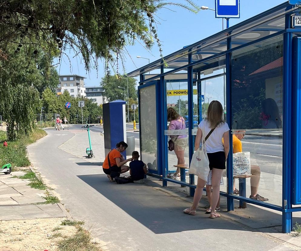 Albo ławka, albo cień. Krakowskie przystanki w upały każą wybierać
