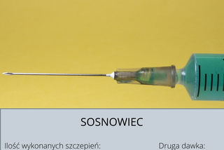 Koronawirus Śląskie. W tych powiatach zaszczepiono najwięcej osób [GALERIA] 