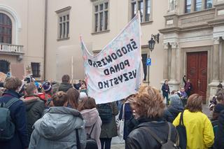 Wielki protest w Krakowie. Strajkowali w obronie klimatu 