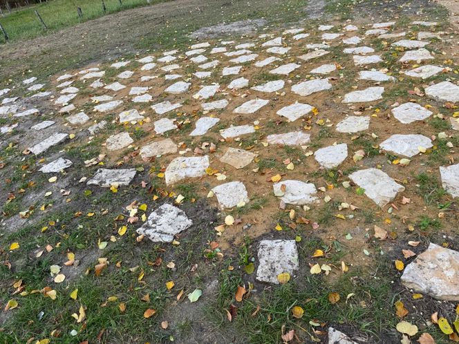 Serenity Park w Mysłowicach to nowe miejsce wypoczynku na Śląsku