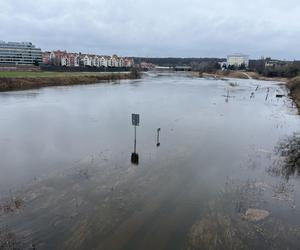 Poziom Warty w Poznaniu najwyższy od lat. Warta i Cybina zalewają pobliski teren [ZDJĘCIA]