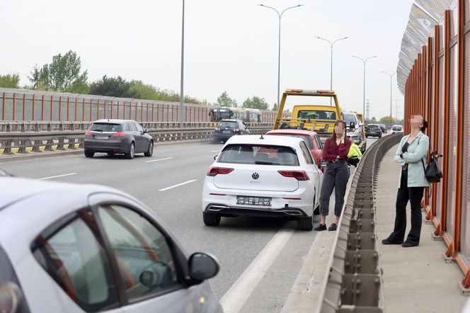 Warszawa sparaliżowana! Karambol po potrąceniu dzika. Kosmiczny korek aż do Marsa