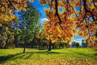 Polska złota jesień w Lublinie [ZDJĘCIE DNIA]