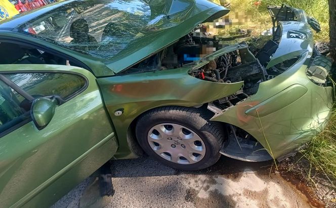 Jechali na obiad do rodziny. Rozbili się na drzewie. "Dobrzy ludzie, zawsze pomocni"