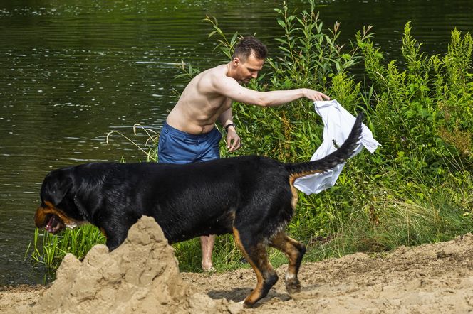 Poseł kąpał się z psem