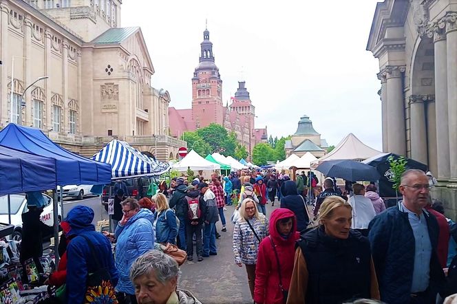 Kiermasz "Pamiętajcie o ogrodach"