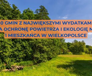 Oni dbają o środowisko i powietrze. Gminy z największymi wydatkami na ekologię