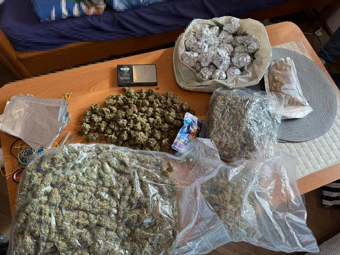 Narkotykowy biznes w sercu Warszawy. Nigeryjczyk i Polka wpadli z gigantyczną gotówką