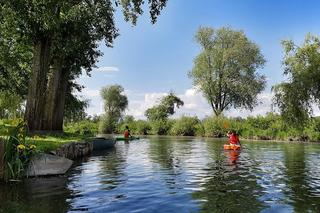 To ostatnia chwila na wakacje w kajaku! Te szlaki znajdują się na Lubelszczyźnie. Poleca je National Geographic!