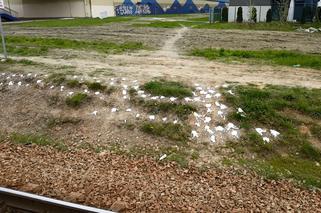 Gęsta smoła na peronie PKP Służewiec