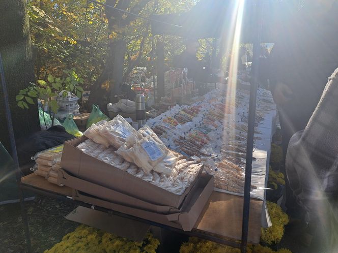 Wszystkich Świętych 2025 w Krakowie