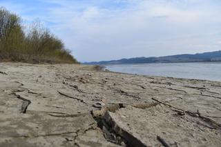 Jezioro Czorsztyńskie coraz bardziej wysycha. Grozi nam wielka susza? [ZDJĘCIA]