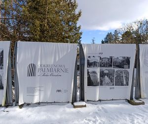 Park Oliwski. Palmiarnia i Pałac Opatów. Za darmo w Gdańsku