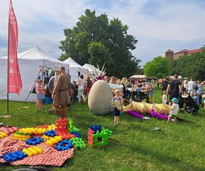 Smoczy Piknik Rodzinny 2025 w Krakowie