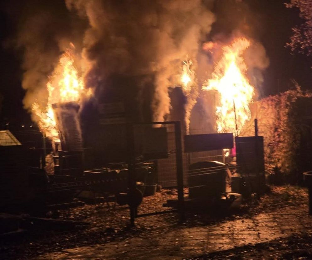 Groźny pożar na cmentarzu na Śląsku. Było o krok od tragedii