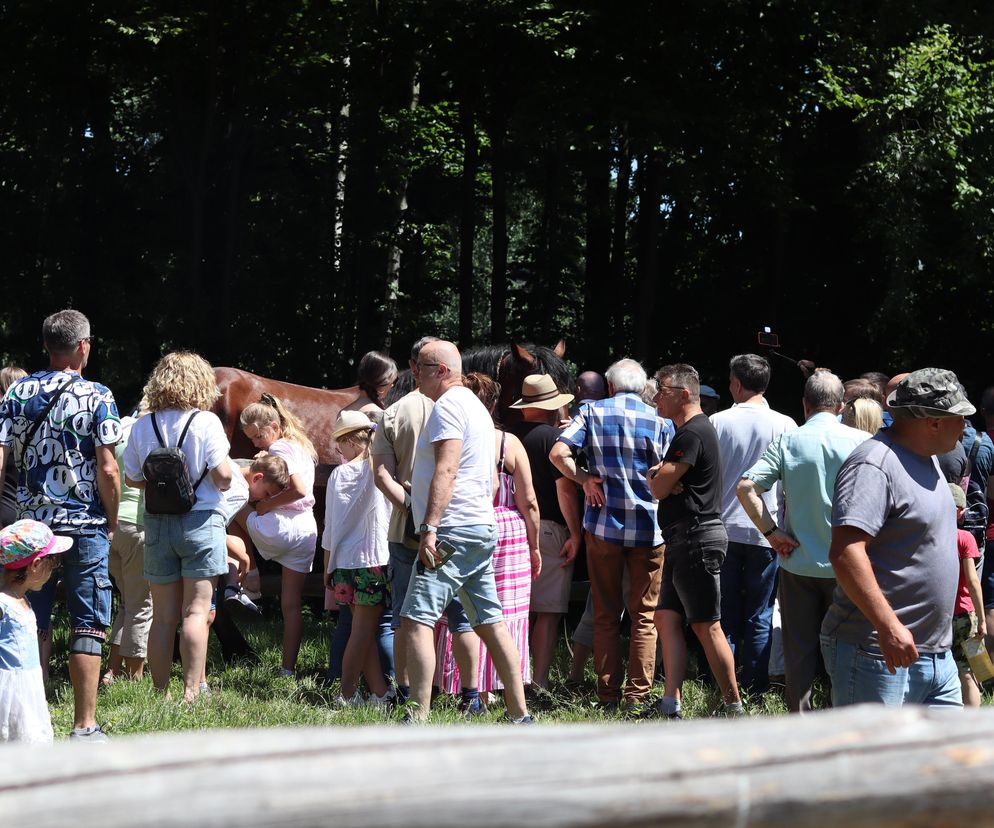 Jarmark koński w lubelskim skansenie przyciągnął tłumy