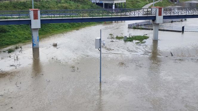 Fala powodziowa we Wrocławiu. Pod wodą są już beach bary i drogi 