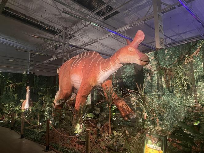 Wystawa Jurassic Adventure