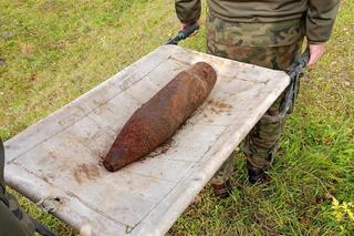 Niemiecka krowa wykopała pocisk na pastwisku