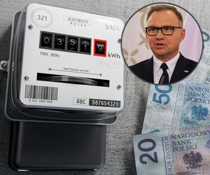 Duda zawetuje mrożenie cen prądu? Chodzi o wiatraki