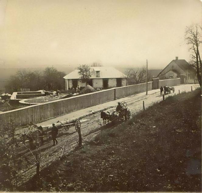 Krasnystaw