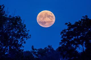 Truskawkowy Księżyc: CZERWIEC 2020 - kiedy, godzina, jak oglądać i gdzie najlepiej widoczny?