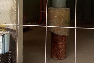 Słup wrósł w nowy budynek. Niecodzienna sytuacja w Szczecinie