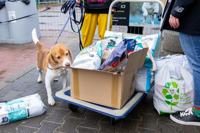 Świąteczna zbiórka Muratora dla zwierząt z warszawskiego schroniska