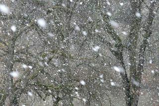 Śnieg i silny wiatr na Podkarpaciu: Są kolejne komunikaty meteorologów
