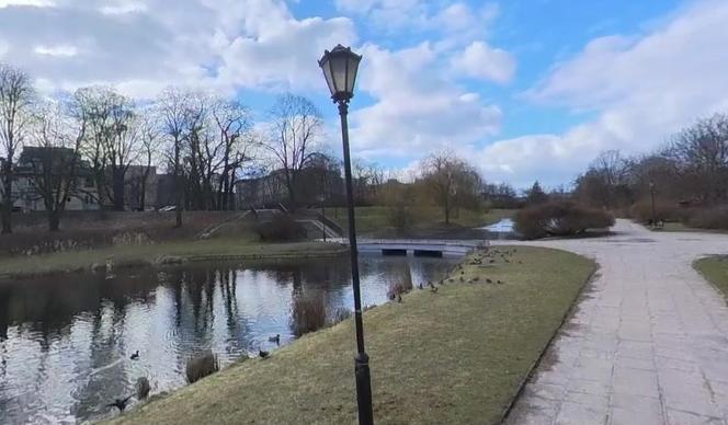 Najładniejsze parki w Łodzi. Sprawdź, gdzie najbardziej lubią odpoczywać mieszkańcy