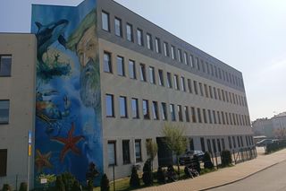 Nowy mural w Gdańsku. Uhonorowano ważną osobę