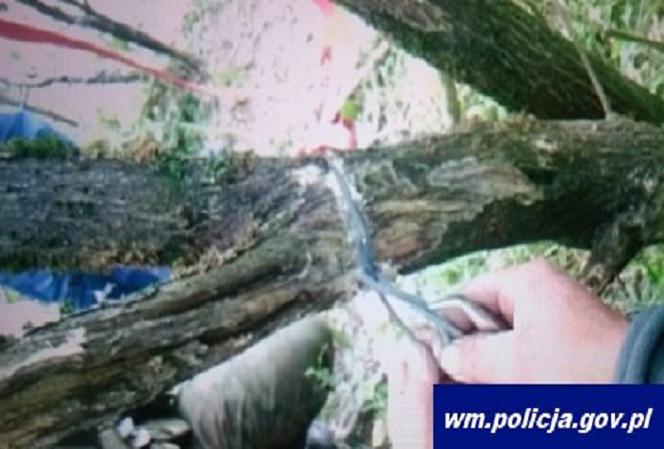 Policjanci pomogli cierpiącym zwierzętom