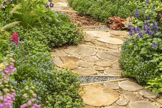 Ścieżka w ogrodzie