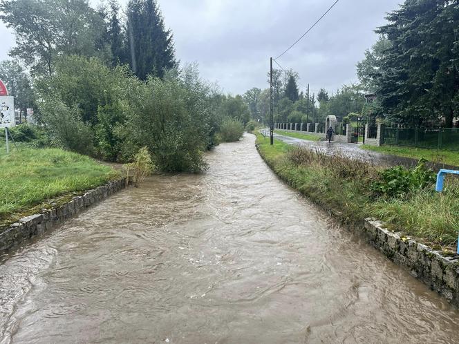 Przekroczone stany alarmowe na kilku rzekach, strażacy układają worki z piaskiem. Relacja live