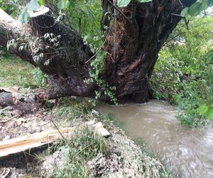 Zalane ulice i posesje. Trudna noc w gminie Goleszów w powiecie cieszyńskim
