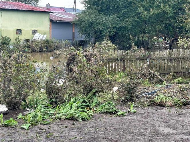 Byli pierwsi na miejscu. Ostrzeszowscy eksploratorzy z pomocą dla powodzian [ZDJĘCIA]