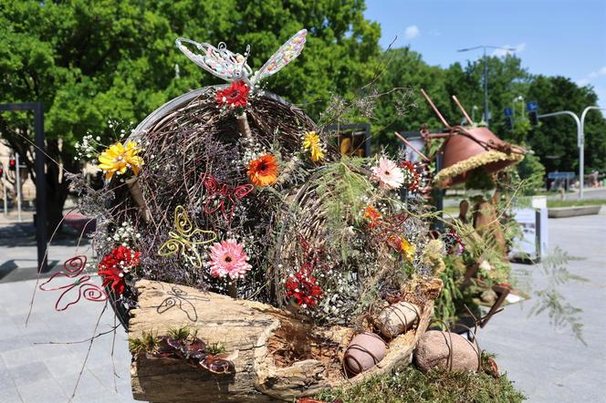 Weekend z florystyką w Lublinie. Zobacz imponujące roślinne instalacje w centrum miasta!